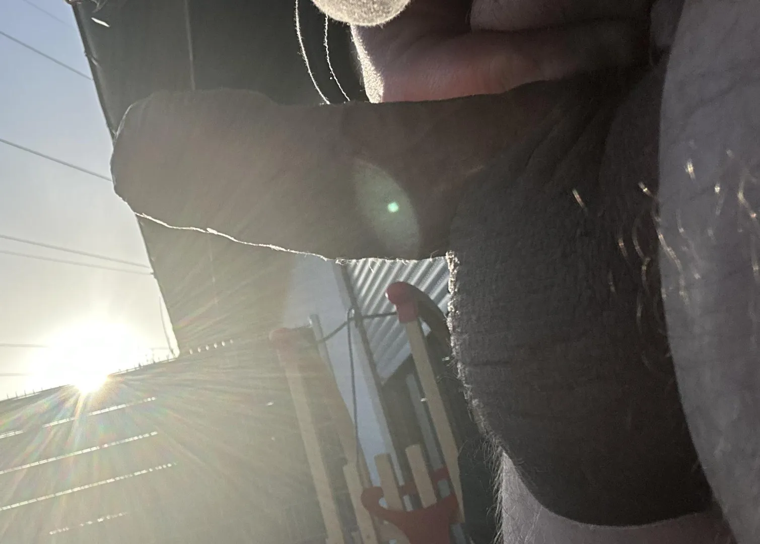 Suns out, guns out! posted by Express_Kick5930