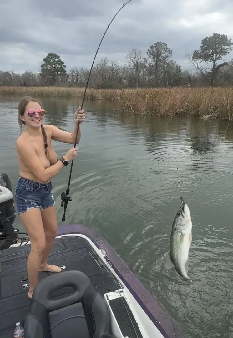 Suns out tits out yall posted by Sasha_jo94