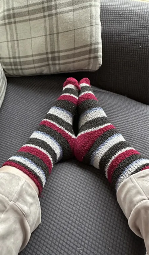 Super cozy by charlirose653