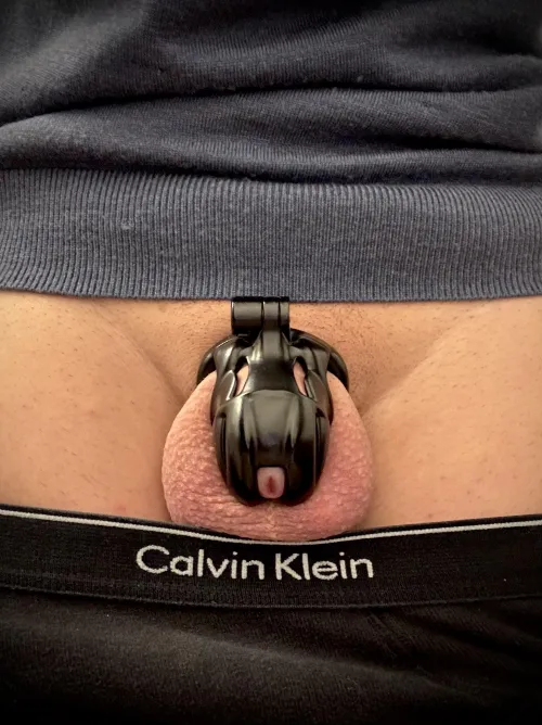 Sweater and cage weather by annasottomessa