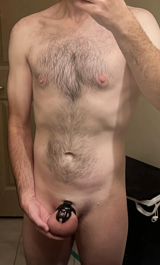 Swollen, heavy, denied balls posted by DueLocation8104