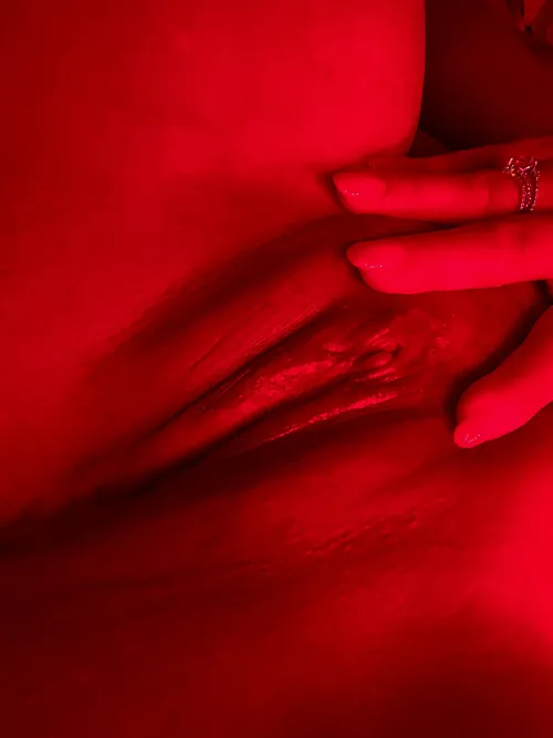 Taco Tuesday by icicles100