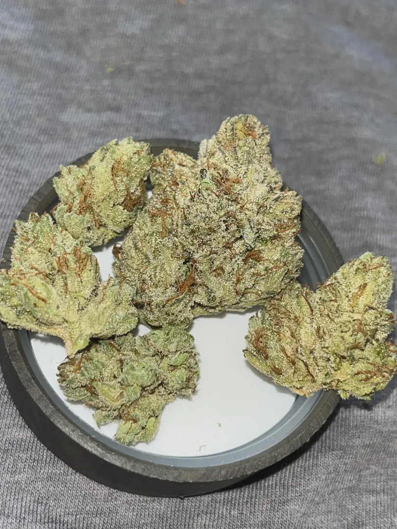 Tahoe OG posted by BostonGeorge420Man