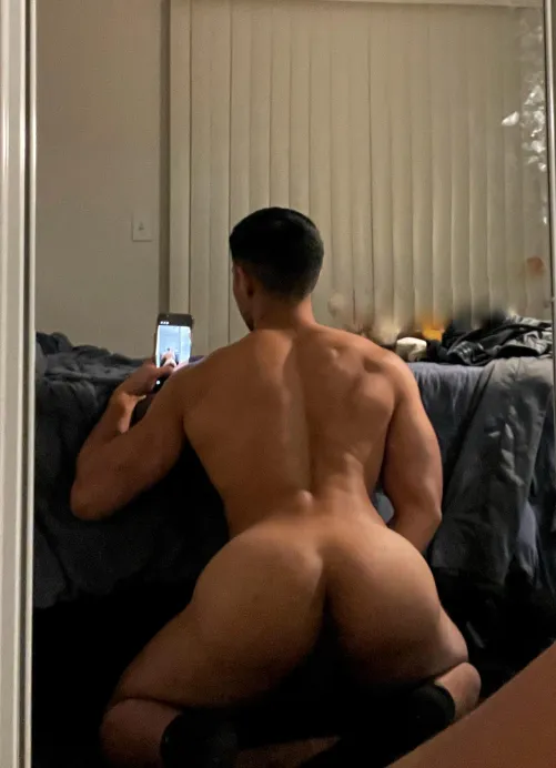 Take a bite by Signal-Weekend7254