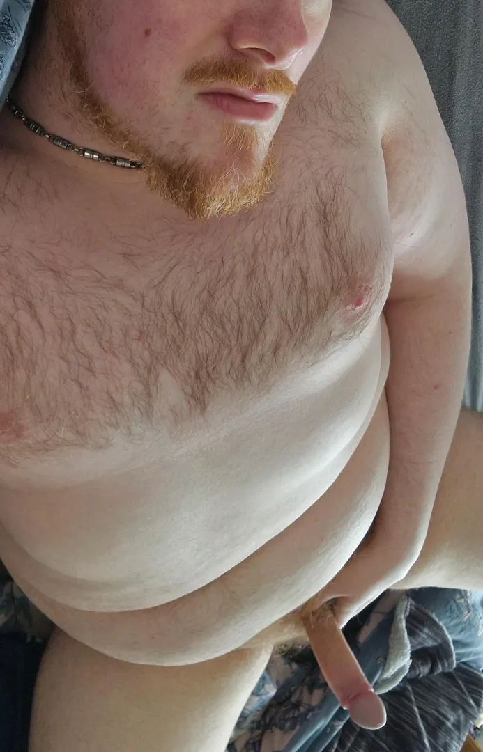 Take a seat [38 Lanarkshire bear] posted by SemiFunctionalHomo