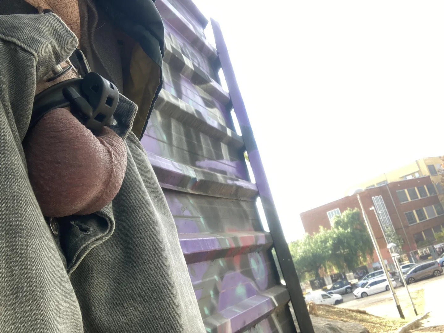 Taking a stroll through the neighborhood!!! posted by ninotdelaflocdeneu