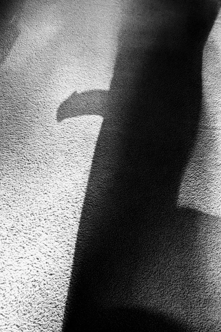 Taking advantage of the sun today (Bothell) posted by PNWGuyNextDoor