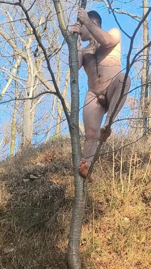 Tarzan has returned by __baco__