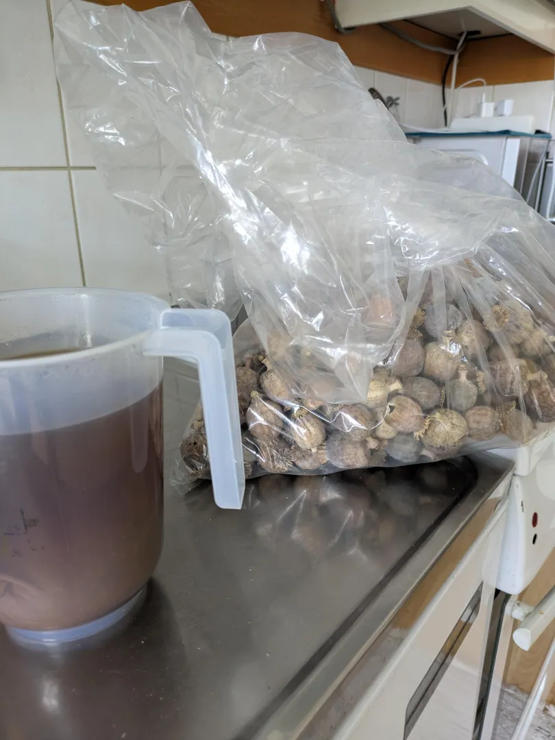 Tea time! posted by grizzythekid