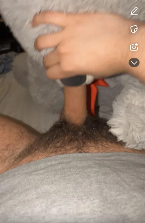 Teddy sucks me by PaintingVegetable593