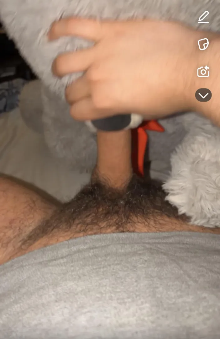 Teddy sucks me posted by PaintingVegetable593