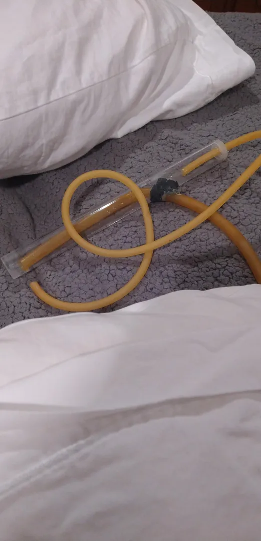 Teehee... My Meow Turned Into A... posted by kinkykik31769