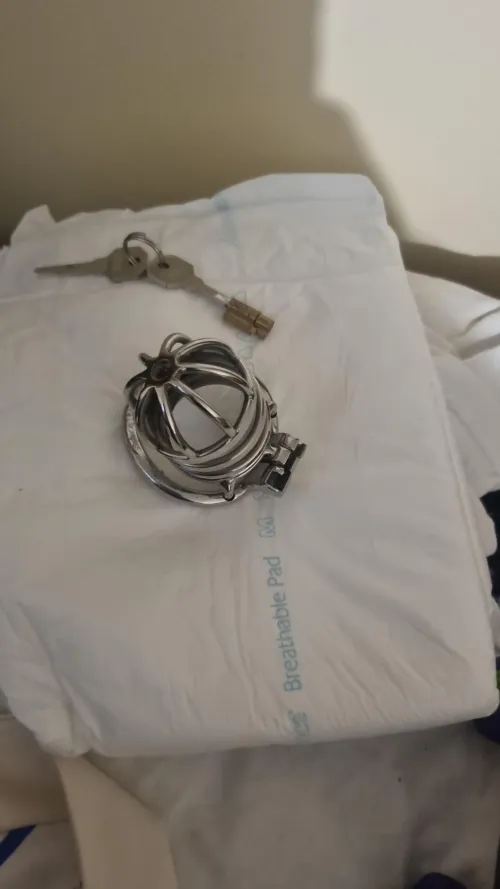 Tell me why I need this. by ProgrammerJust6898