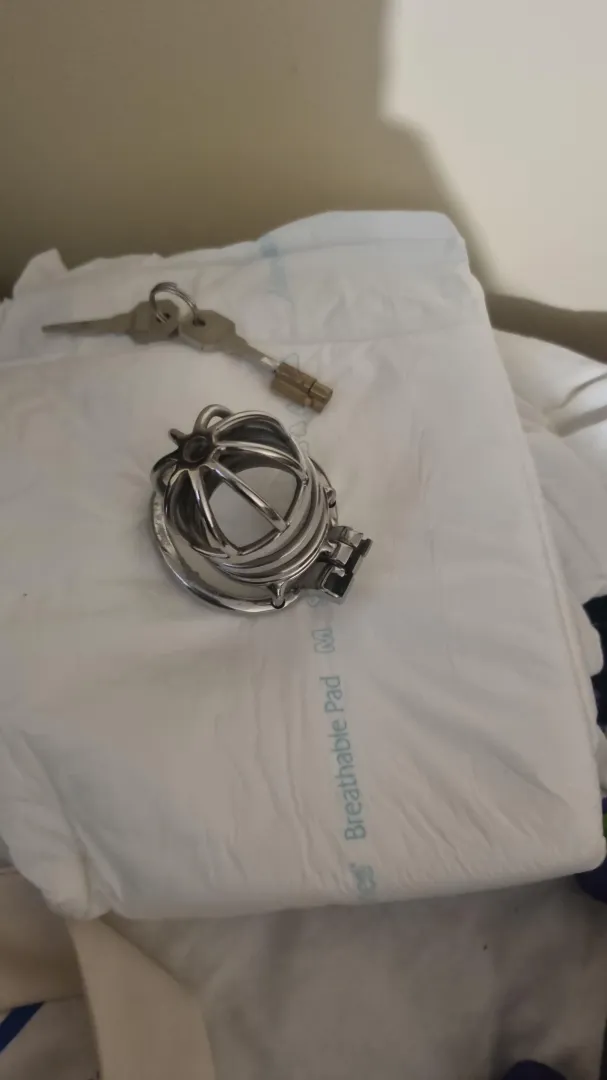 Tell me why I need this. posted by ProgrammerJust6898