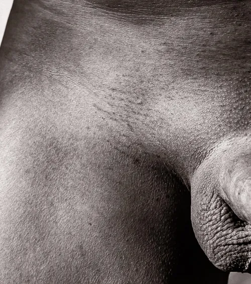 Texture by PhxNudeDude51