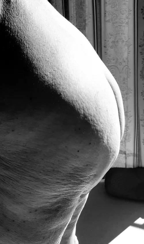 Thats no moon... by SilverNecessary6462