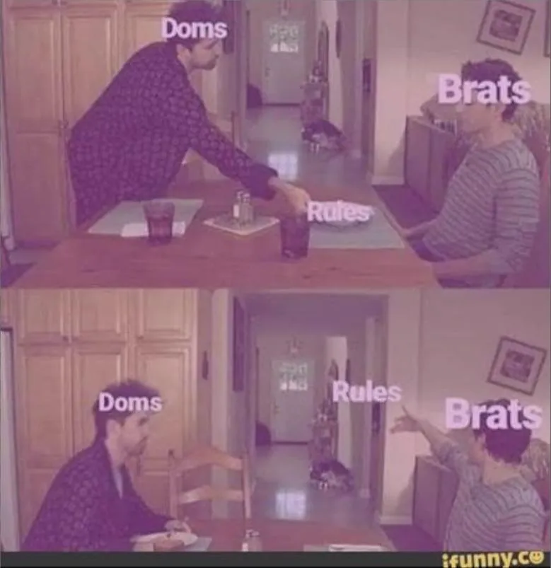 That's what I think of your rules  posted by LilacSakurawolf