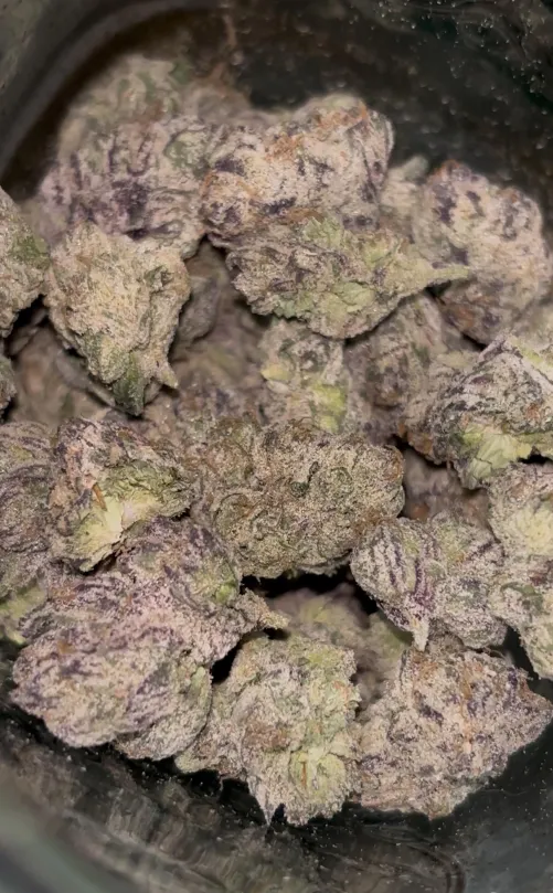 THB “Cherry Slushie” by Select-Refrigerator8