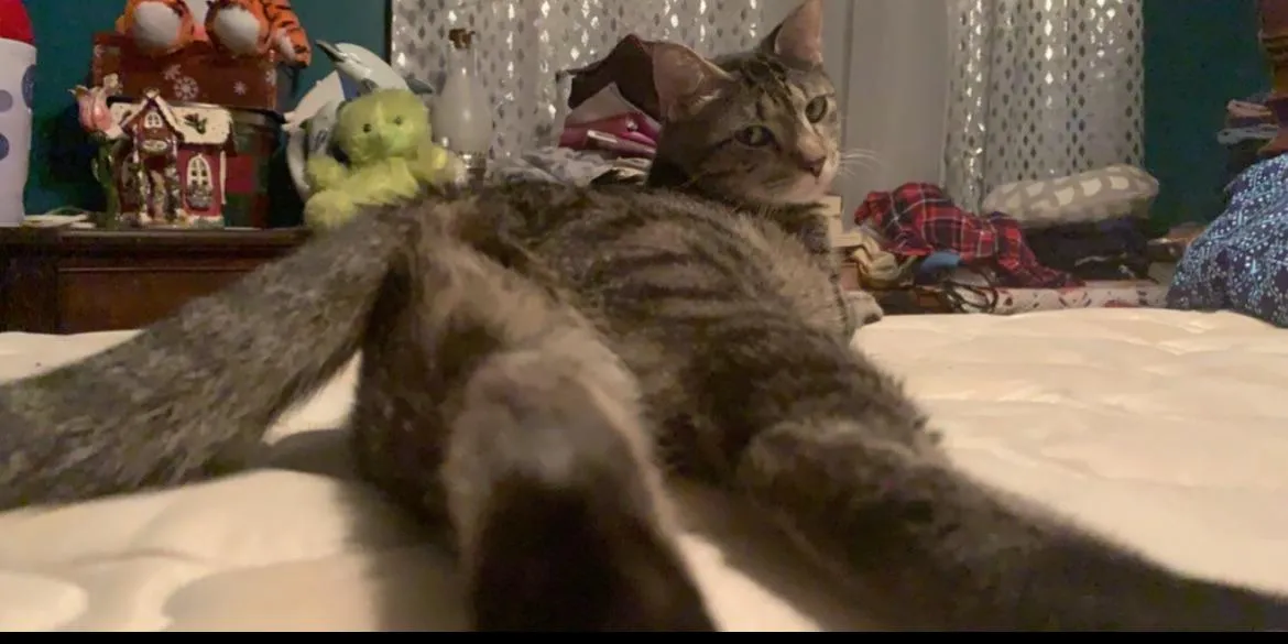 The angle [f] posted by AdhesivenessNo6568