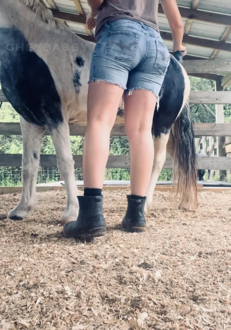 The barn chores never stop posted by cheybabby_777