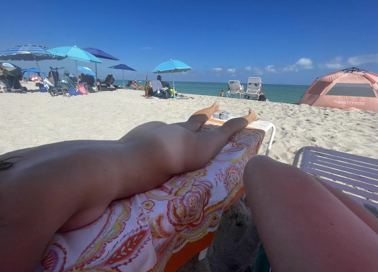 The Best ☀️ posted by Loud-Alternative7348