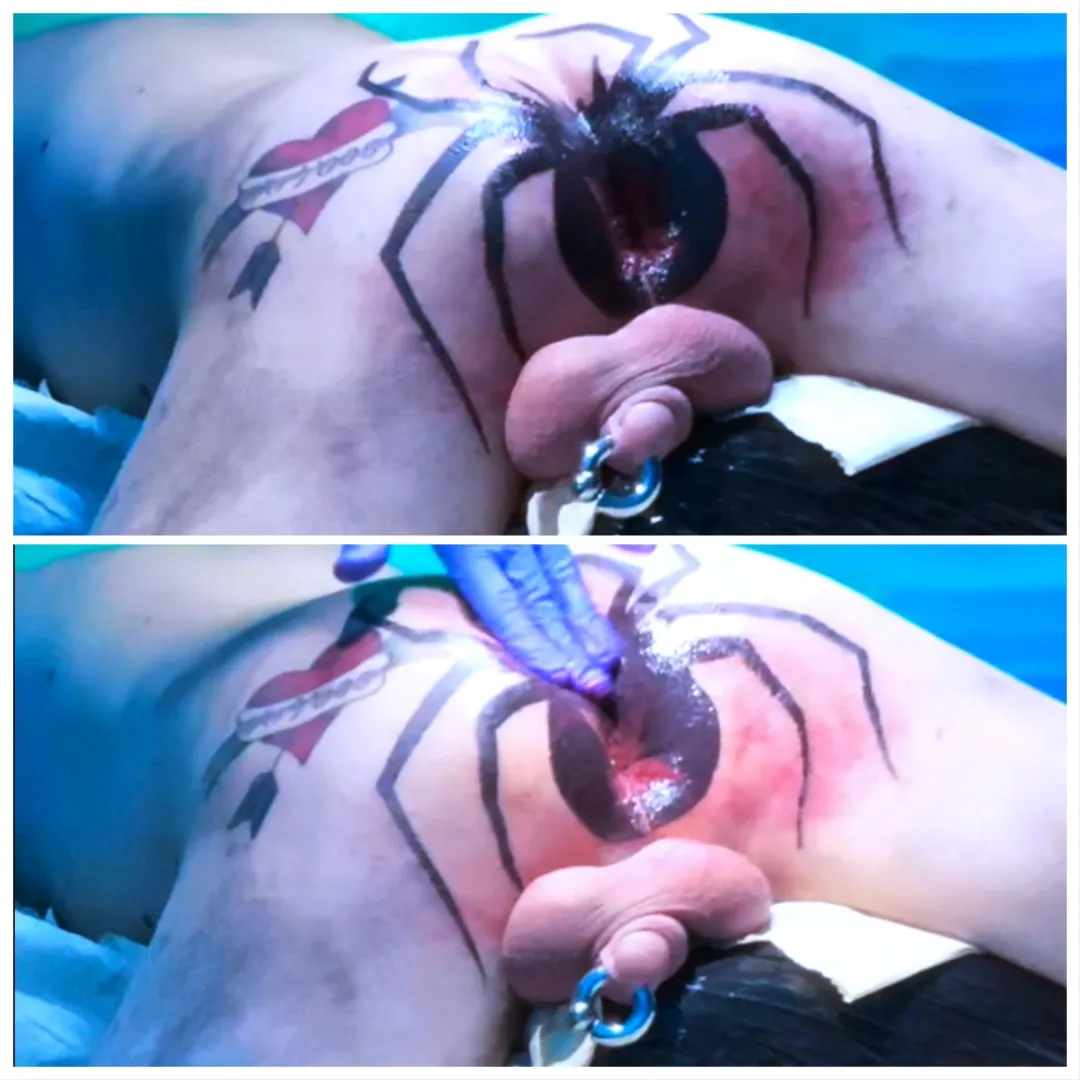 The Black Widow ️ posted by Smooth_Platypus518