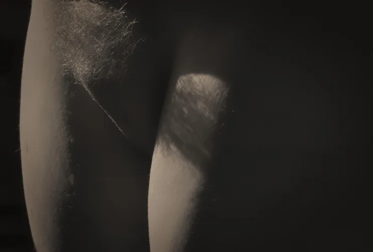 The Bush by Matthewb861