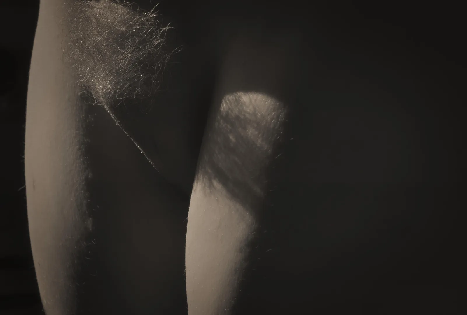 The Bush posted by Matthewb861