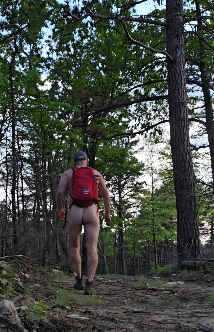 The cool of the evening posted by packpreacher