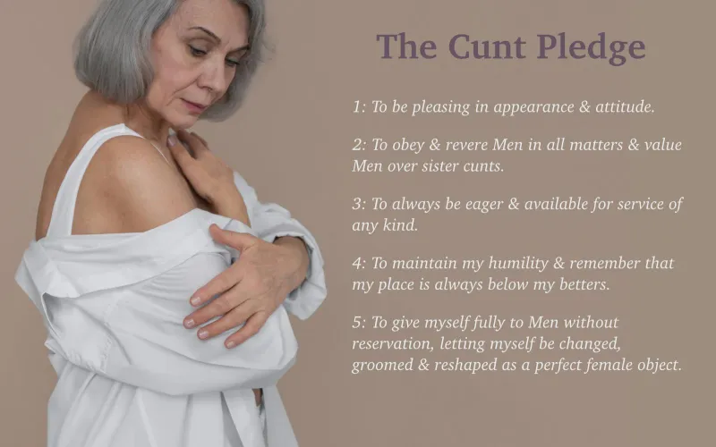 The Cunt Pledge by CollectionRare2425