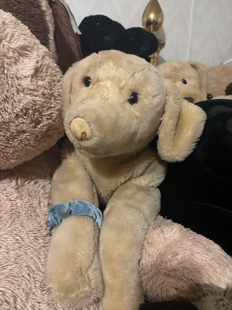 The facial pup posted by HornyMaeNpups88