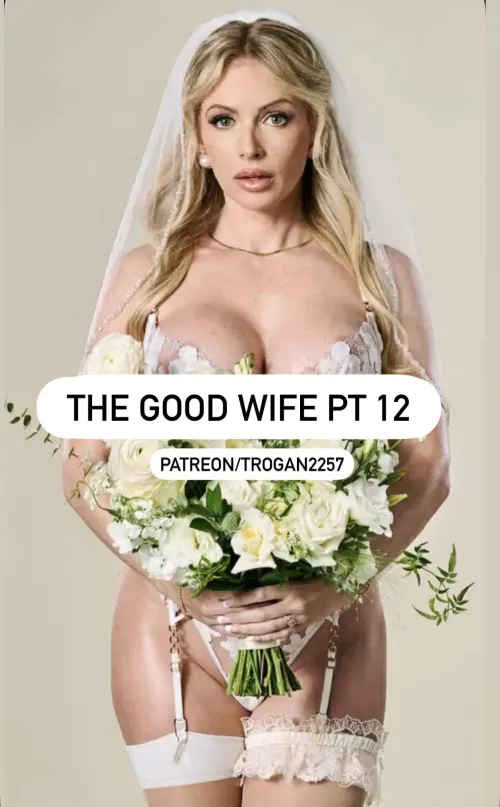 The good wife pt 12 by trogan225777