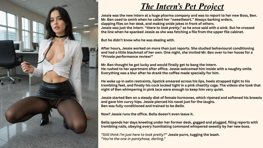 The Intern's Pet Project by missavantikaxo