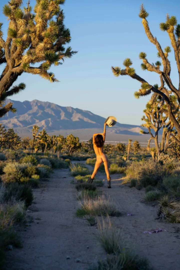 The joshua trees call to me posted by hayley_and_kian