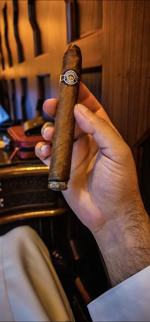 The king  by Abdalla_Alhammadi