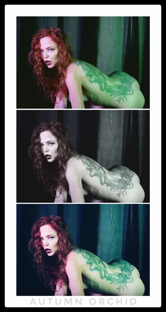 The look I make just before I devour you… posted by AutumnOrchidsTouch