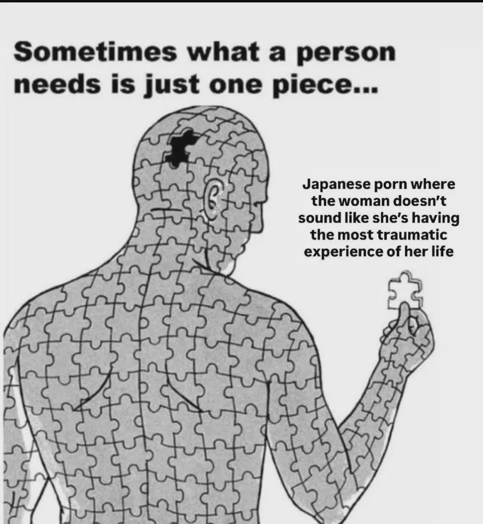 The missing piece posted by Advanced_Project275