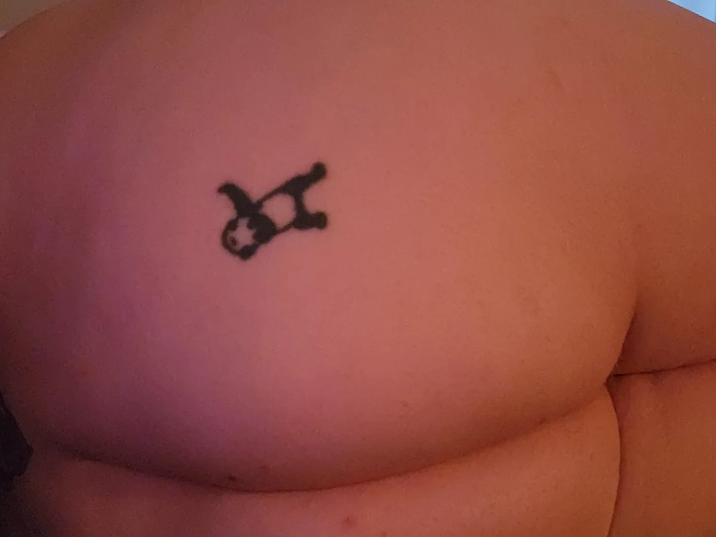 The panda is the perfect target posted by DefiledGoddessLuna