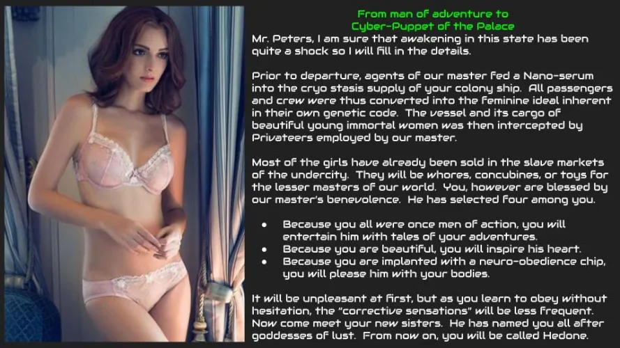 The Pirate's Prize (unwilling) by DrKatLilith