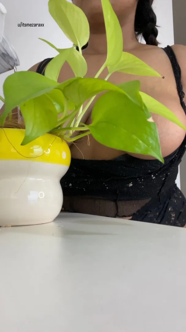 The plants know what you're trying to look at ;) posted by itsmezaraxx