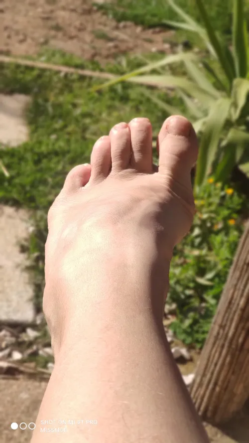 The sun is out so the unpedicured toes came out to say hi! by MariaDasFontes