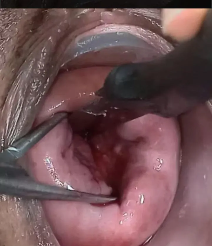 There are things that can't be explained... they are felt. posted by alisson_pun