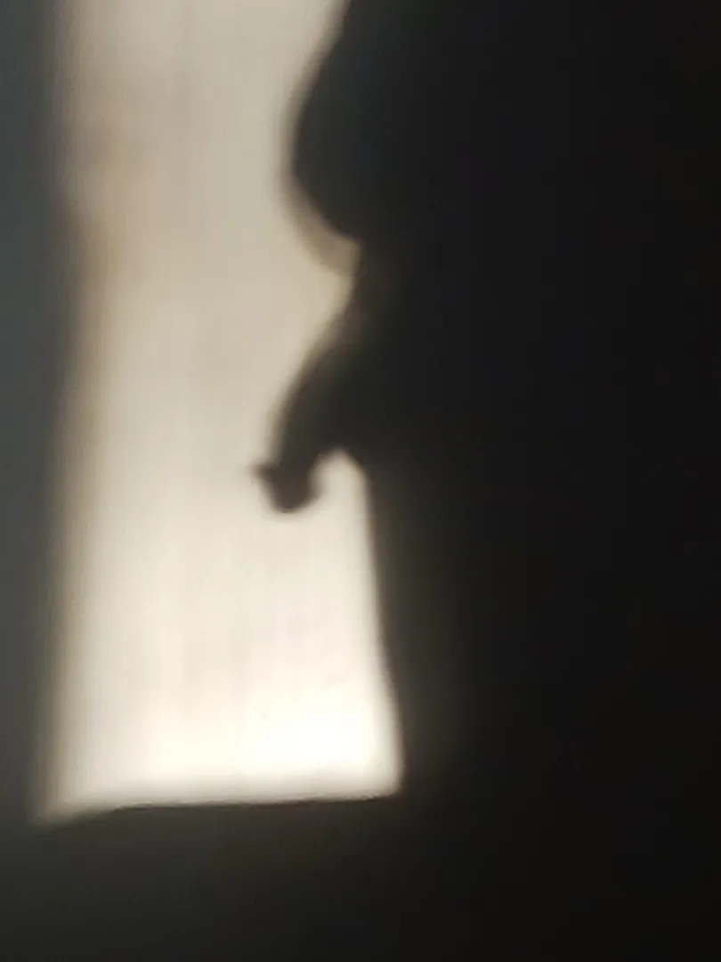 There's something lurking in the shadows!![52] posted by Brilliant-Ruin-9643