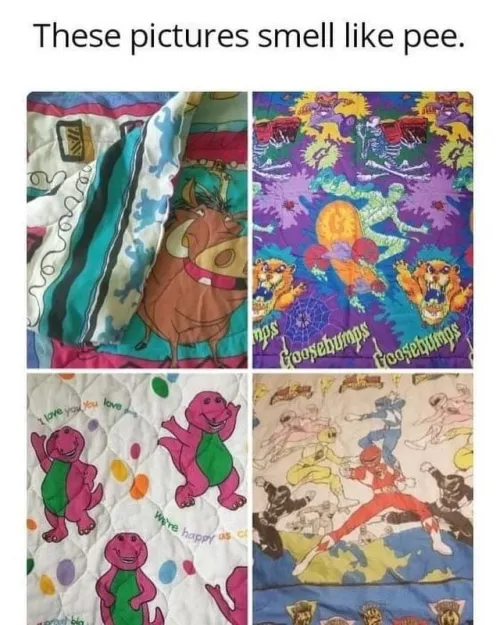 these pictures smell like pee by Fun_Satisfaction7686