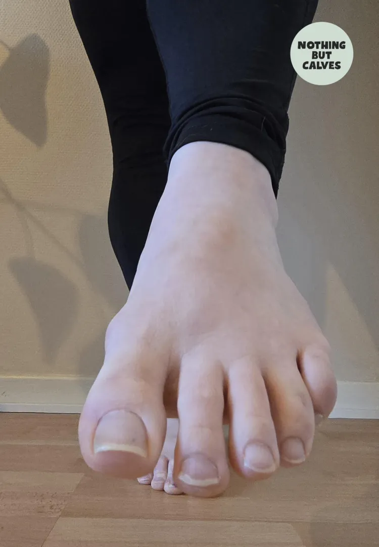 They look even bigger live posted by NothingButCalves