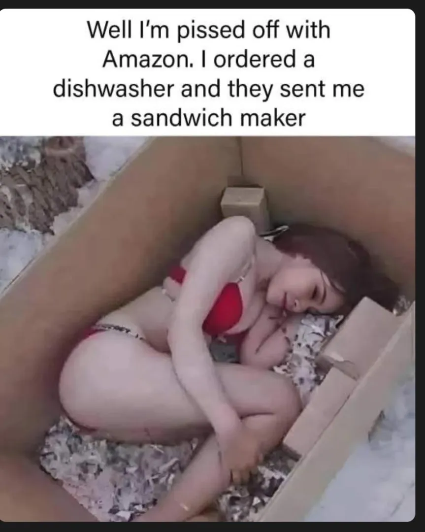They sent me a sandwich maker posted by Lmanwell23