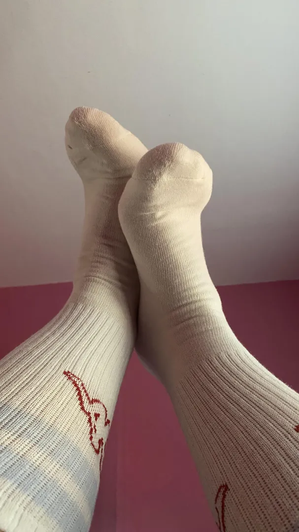 They smell like me. They smell of superiority. And you can only kneel. posted by Ctanguarra_2