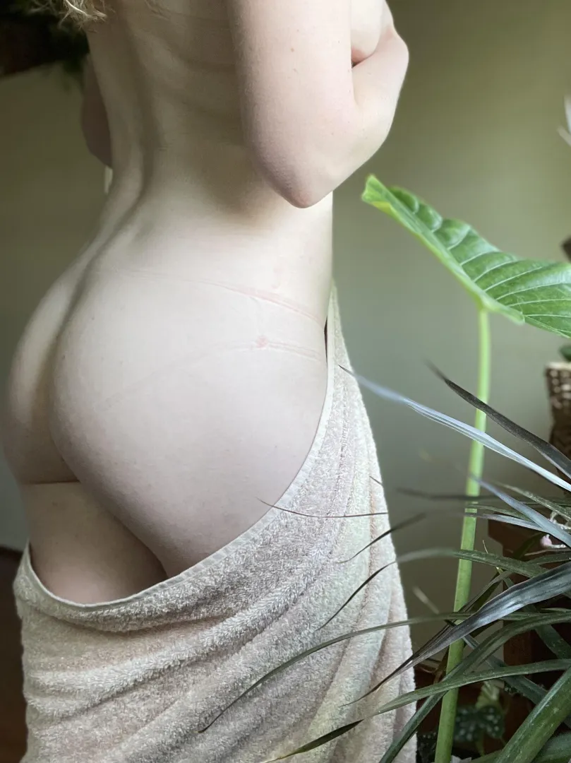 They’re not the only things getting attention today  posted by QuietlyLacey