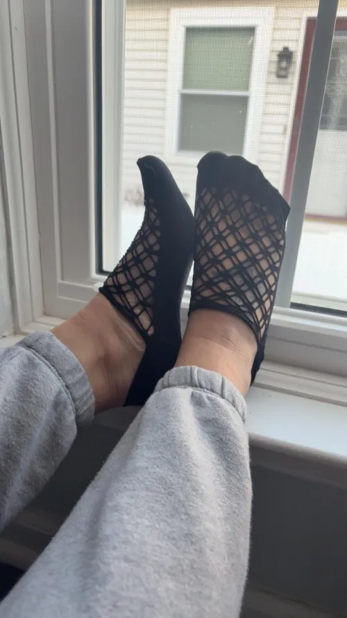 Think the neighbor took a peek?  by VeiledVibe