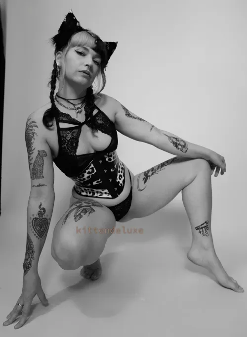 this bratty kitten needs to be tamed to show more by AdExact3789